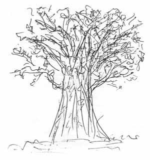 Tree Drawing