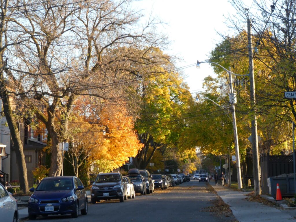 Photo quiet street, autumn trees, parked cars